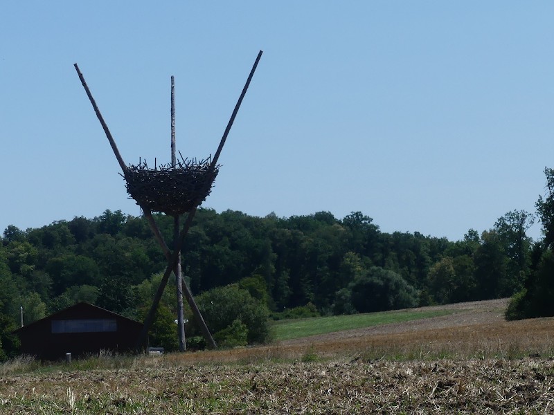 Kunstinstallation - wechselnde Themen werden ins Nest gelegt